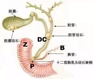 图片 11.png
