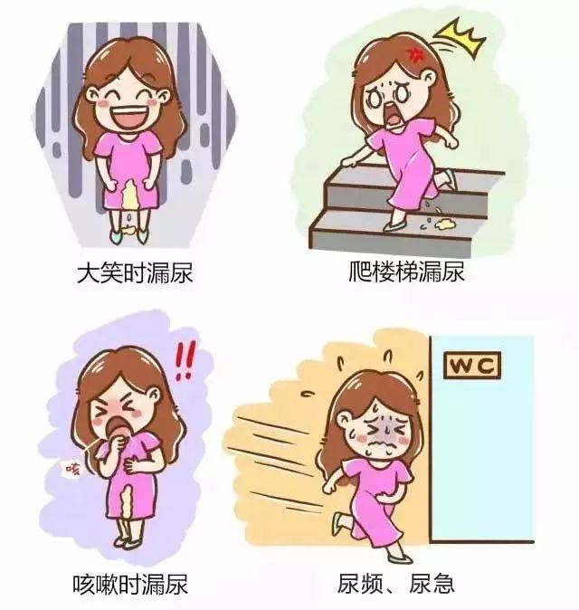 图片 5.png