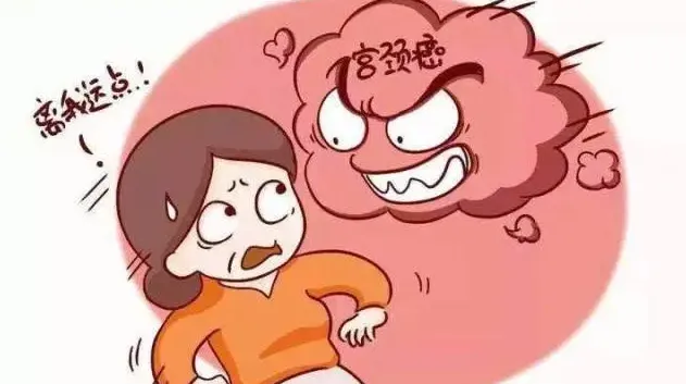 守护宫颈健康：宫颈癌筛查的&ldquo;三早&rdquo;法则